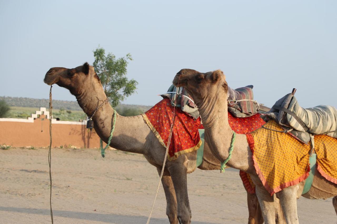 Sunny Desert Camp Kūri 외부 사진