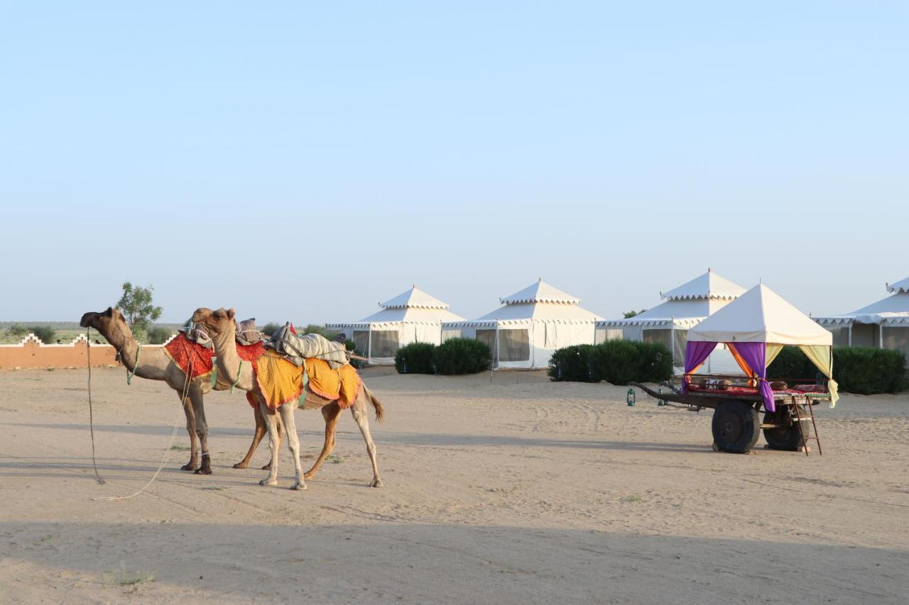 Sunny Desert Camp Kūri 외부 사진