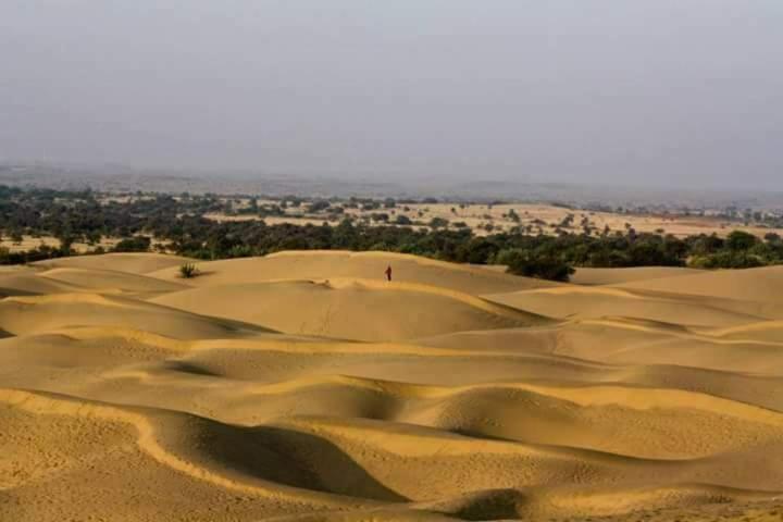 Sunny Desert Camp Kūri 외부 사진