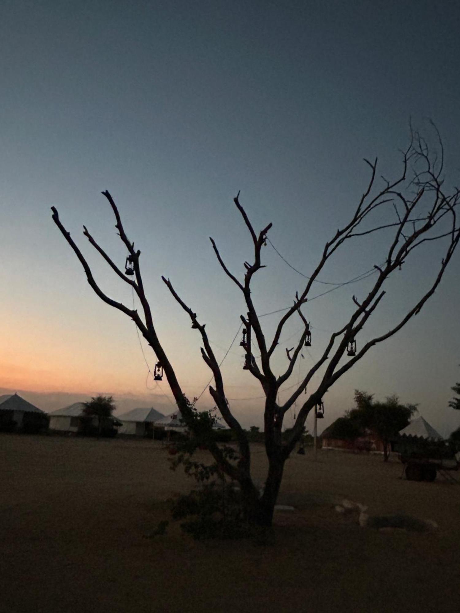 Sunny Desert Camp Kūri 외부 사진