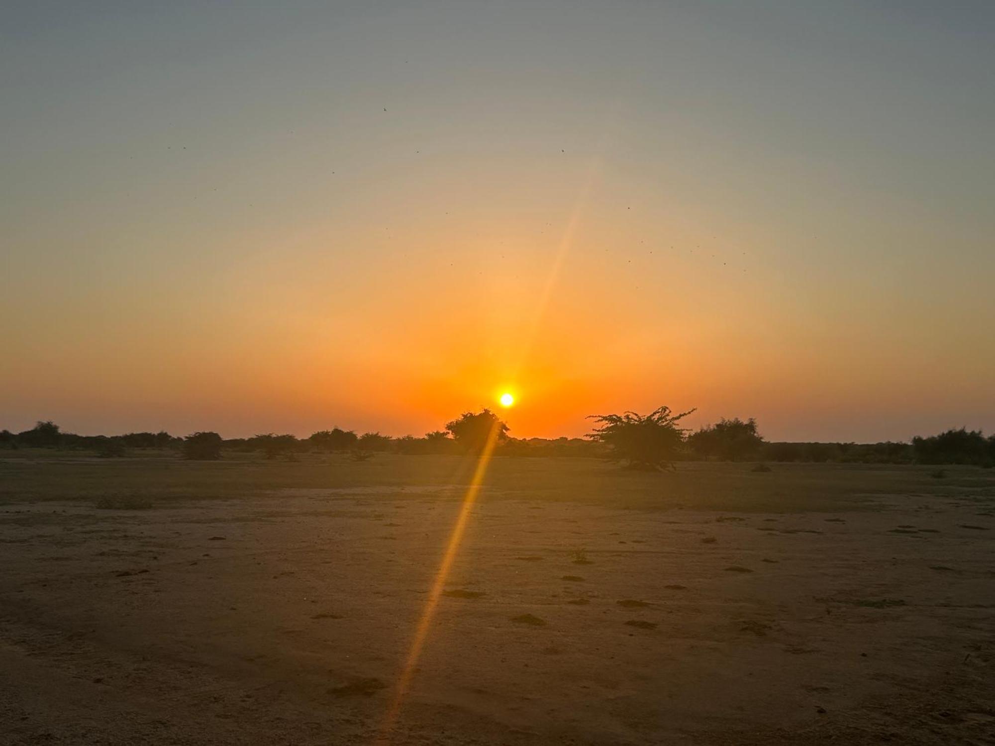 Sunny Desert Camp Kūri 외부 사진