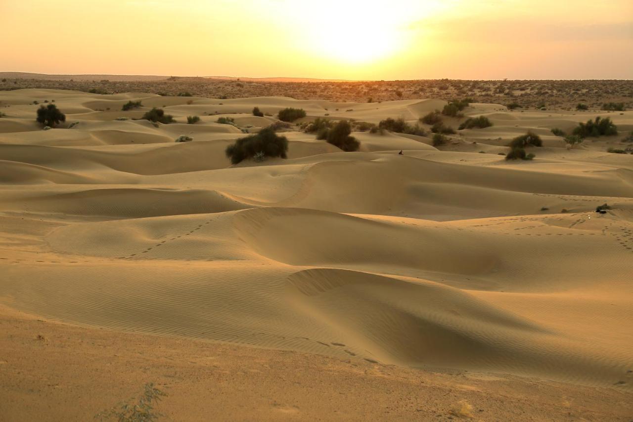 Sunny Desert Camp Kūri 외부 사진